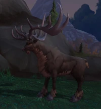 Image of Noblehoof Stag