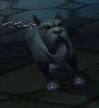 Image of Angry Hound