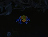 Image of Coastal Bounder