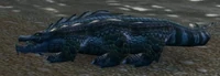 Image of Dreadmaw Crocolisk
