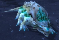 GorgoiteBane of the Sons of Kor.