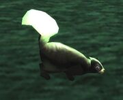 Skunk.jpg