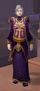 Image of Friendly Dalaran Wizard