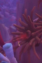Glimmering Deep Anemone