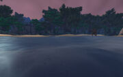 Sandy Shallows