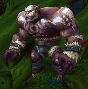 Bleeding Hollow Berserker