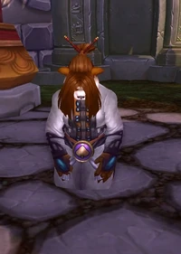 Image of Shun the Serene