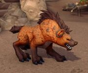 A hyena.