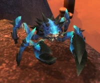 Image of Spiny Rock Crab