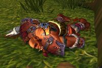 Image of Aspiring Wolfrider