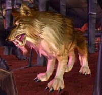 Image of Ripp