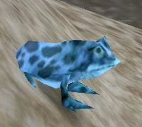 Image of Borean Frog