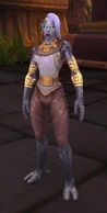 Battle for Azeroth female