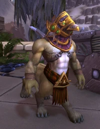 Image of Nahom Sun Priest