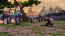 Pandaren monks training