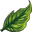 Herbalism