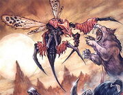 Avispa silítida en el juego de cartas.