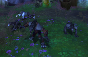 Ivar in Darkshore, surrounded by packmembers.