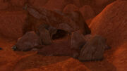Skull Rock
