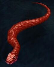 Crimson Snake