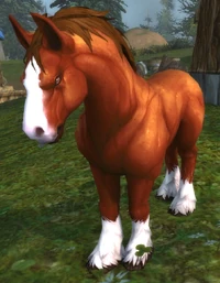 Image of Hearthglen Mustang