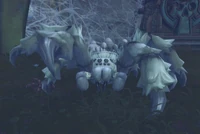 Image of Jungleweb Hunter