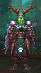 Malfurion Stormrage in The Dreamgrove