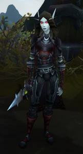 Image of Dark Ranger Allanah