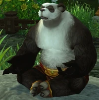 Image of Old Man Misteye