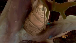 Precarious Silk Nest