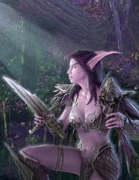 Night elf druid