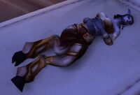 Image of Wounded Vindicator