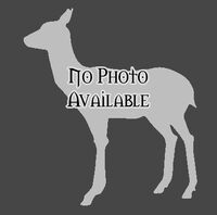 No image available