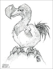 Dodo concept art