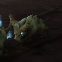 Image of Scavenging Mawrat