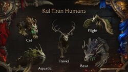 BlizzCon 2018 - Kul Tiras druid.jpg