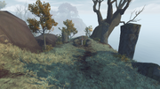 Falcon's Rest