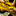 IconSmall DragonBronze.gif