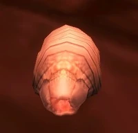 Image of Plagued Maggot