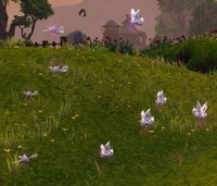 Image of Tiny Mutated Silkmoth