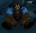 Dwarf