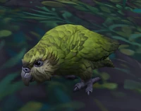 Image of Sirocco Waddler