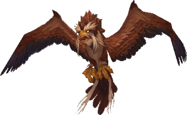 Captive Sparrowhawk
