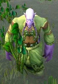 Image of Elementalist Lo'ap