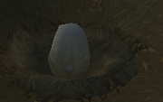 Hippogryph Egg