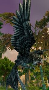 Image of Moori