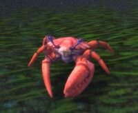 Image of Tide Crawler