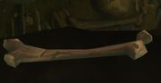 Intact Fiend Bone
