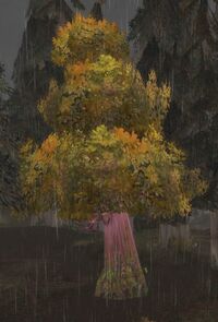Image of Marked Tree