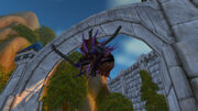 Onyxia's head in Stormwind